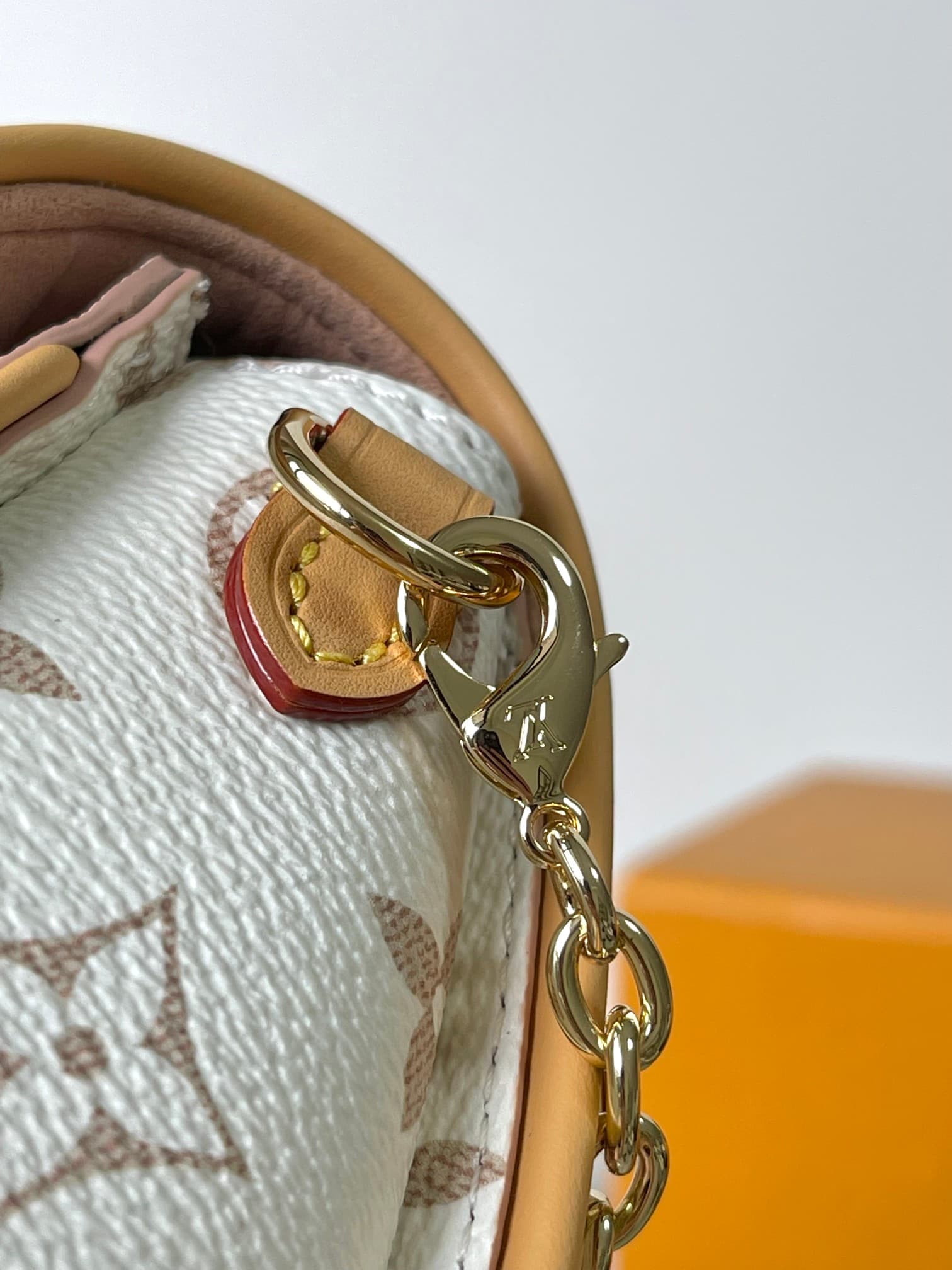 Louis Vuitton Pochette Camille Monogram Dune coated canvas M26583 TOP